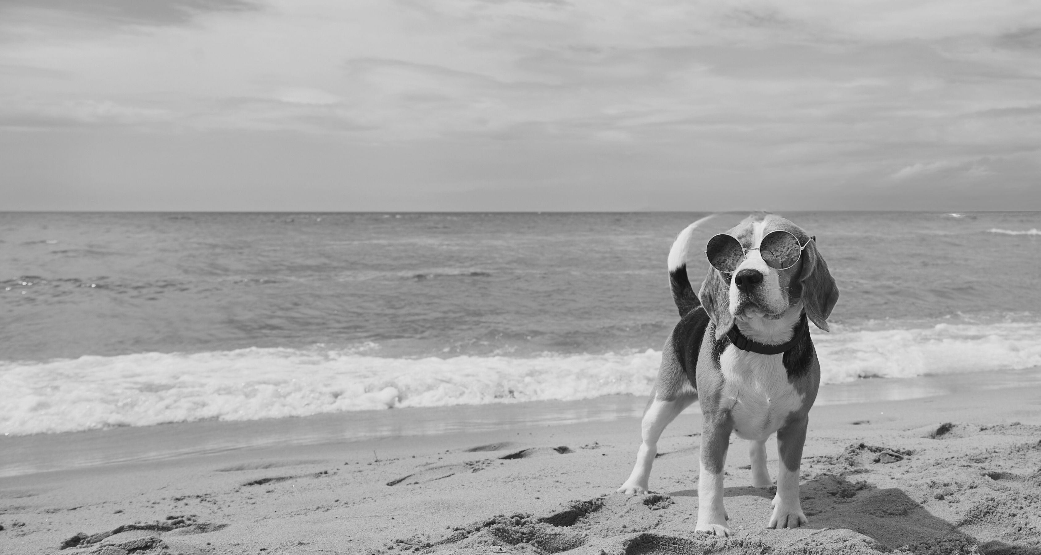 Hero banner image adoute